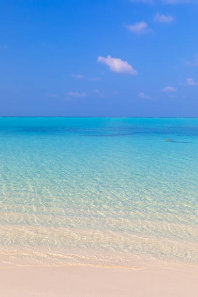 Coast of the Indian Ocean. Maldives