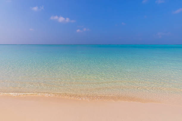 Coast of the Indian Ocean. Maldives