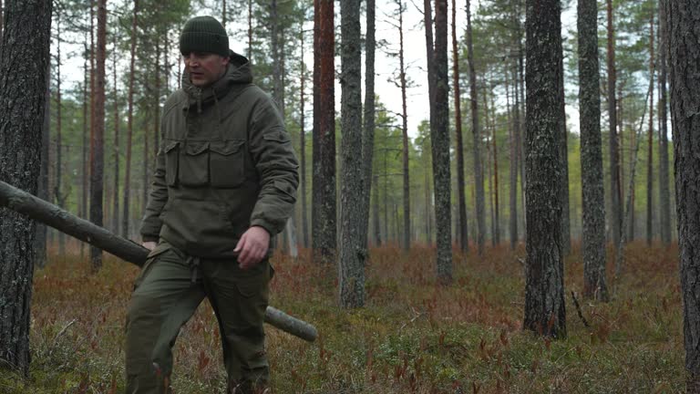 A man carries a tree trunk for firewood. Searching for firewood in the forest for a fire. bushcraft and wilderness survival concept.