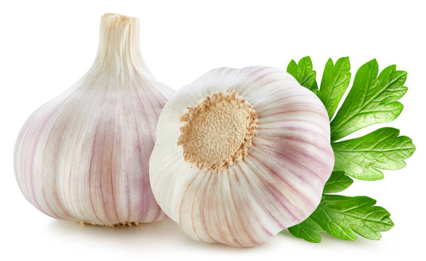 istock Organic garlic isolated on white background 2201740120