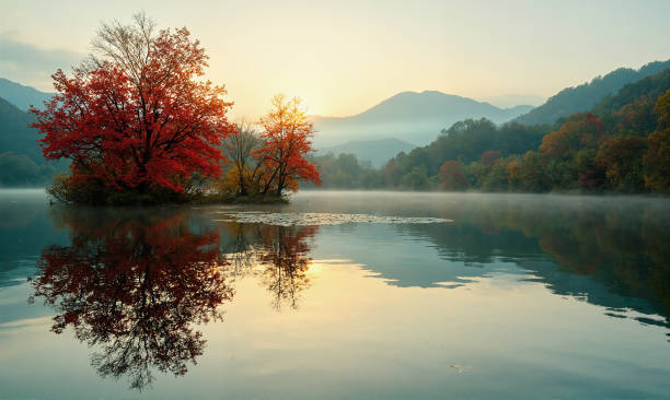 istock The scenery by the lakeside in autumn 2201743227