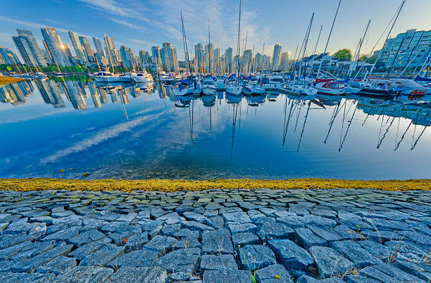 The skyline of Vancouver draping over the Stanley Park seawall.