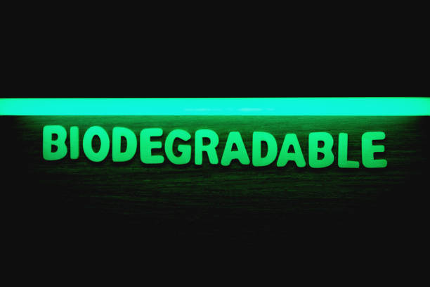 Biodegradable - Wooden letters with green neon lightning