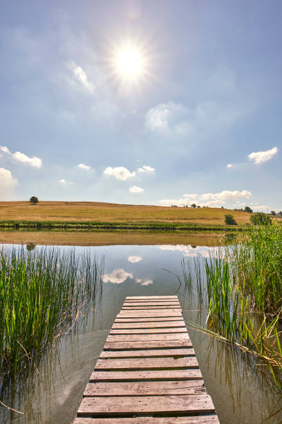 istock Scenic wooden dock extending over a tranquil pond under a bright sunny sky 2201752774