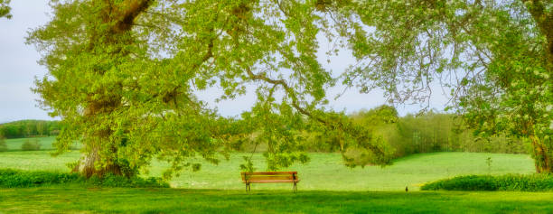 Public park on Autmn day