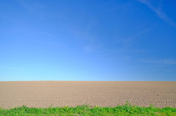 A tranquil view of a freshly tilled field under a clear blue sky, with vibrant green grass framing the image in the foreground. Captured during spring in the serene Danish countryside.