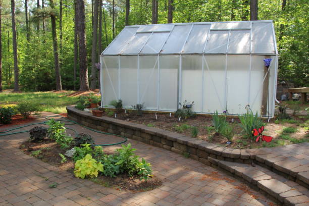 istock Small Garden Greenhouse 2201755461