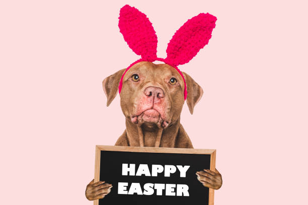istock Happy Easter. Cute dog and congratulatory inscription 2201757311