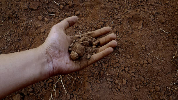 istock Hand holding show brown soil on ground. 2201759822