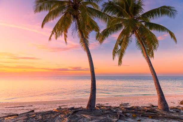 istock Pastel sunset on paradise beach with palm trees and quiet sea 2201761598