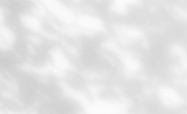 istock White wall with shadow of leaves overlay. Sunlight effect shadow on the wall. 2201761856