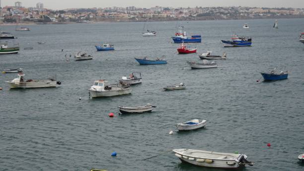 istock fishing boats in a harbor 2201764447