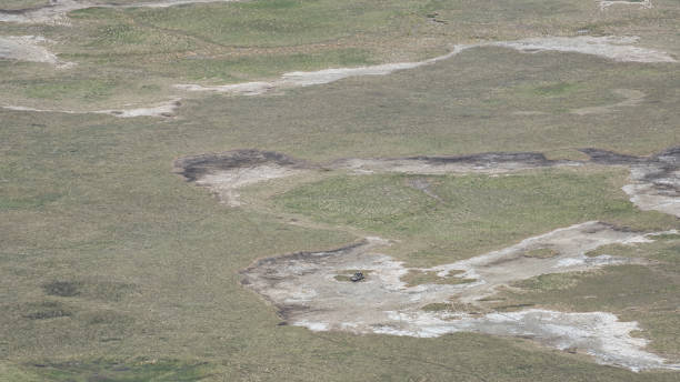 istock Beautiful Aerial View Showcasing Unique Terrain Patterns Found on Expansive Grasslands Ngorongoro Tanzania Africa 2201765131