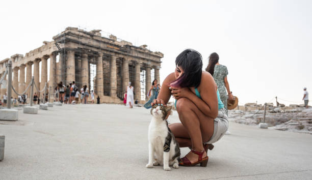 Young lady playing with cat with tourists behind her and Parthenon west facade in Acropolis. Athens, Greece.