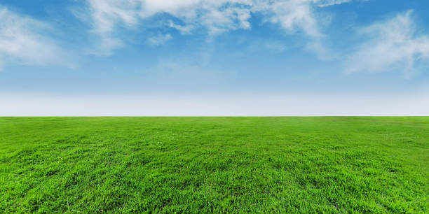 istock Green grass field and white clouds on blue sky background. 2201767599