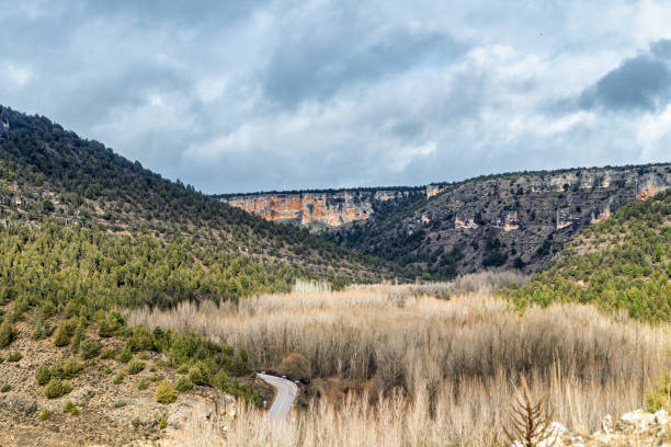 istock Unique rock formations and lush greenery in Wolf River Canyon 2201772202