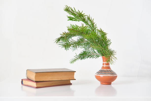 Fresh fir branch arranged in traditional clay vase next to stack of vintage books on white surface. Minimalist and rustic home decor with natural elements.