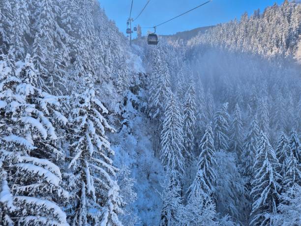 istock A snow-covered forest with tall evergreen trees blanketed in white. A cable car glides above the steep, frosty landscape under a clear blue sky, adding a sense of adventure. 2201775982