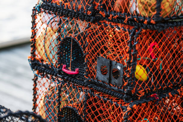istock sturdy lobster cages with intricate netting and bright colors. 2201777282