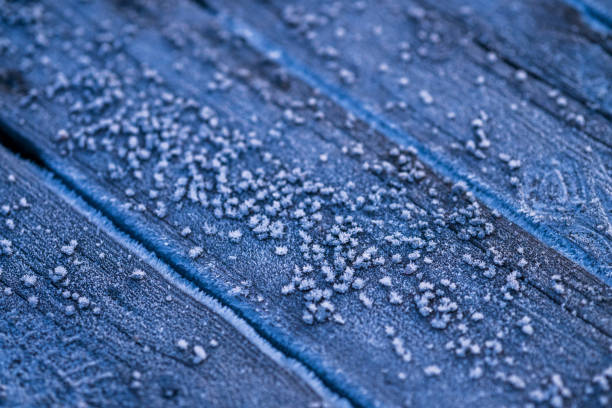 frost on wooden surface with close-up details