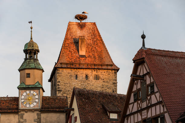 istock Stork on roof in Germany 2201783877