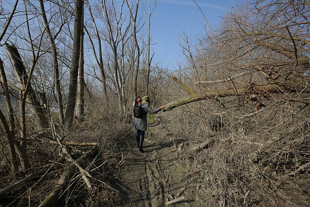Woman pushing aside a fallen branch while hiking in a desolate winter forest