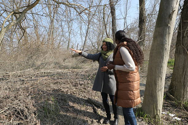 istock Two women examining a dry and damaged forest area 2201785078