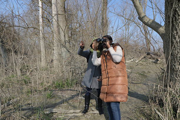 istock Two young women birdwatching in a forest on a sunny day 2201785168