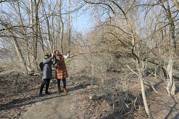 Birdwatchers using binoculars and pointing at birds in bare winter forest
