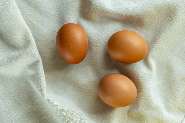 istock organic food: chicken eggs on straw, farming and agriculture . abstract bird figurine next to chicken eggs in the middle of straw 2201787614
