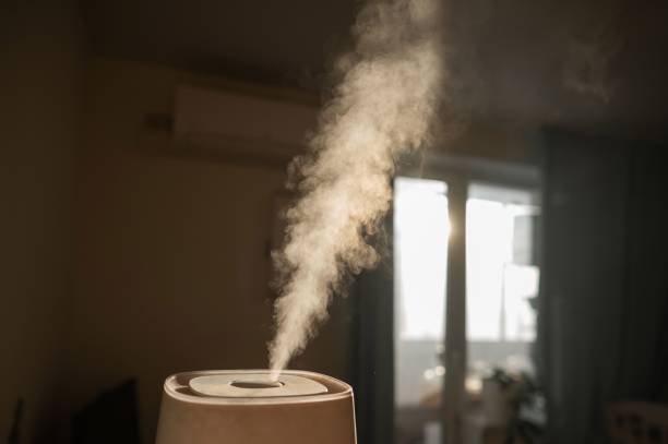 istock A humidifier evaporates moisture in the bedroom. 2201787856