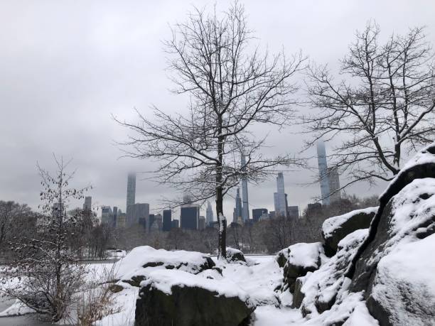 istock Central Park Covered with Snow in February in New York, NY. 2201788971