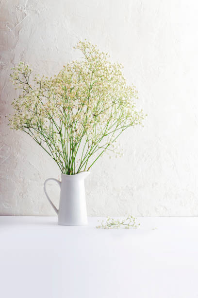 istock White gypsophila flowers in a ceramic jug against a light textured background 2201789121