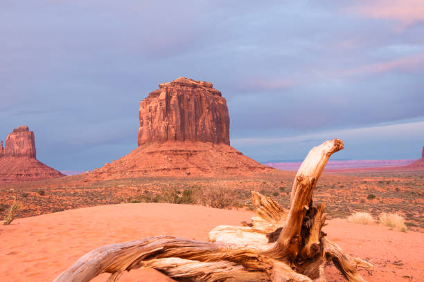 istock Navajo Tribal Park 2201790302