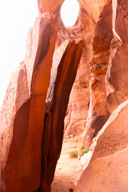 istock Navajo Tribal Park 2201790518