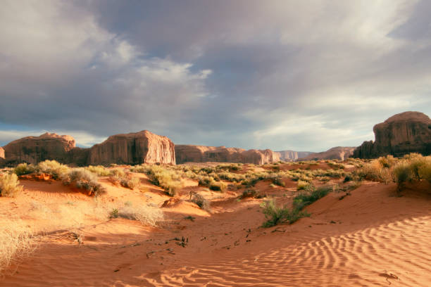 istock Navajo Tribal Park 2201790701