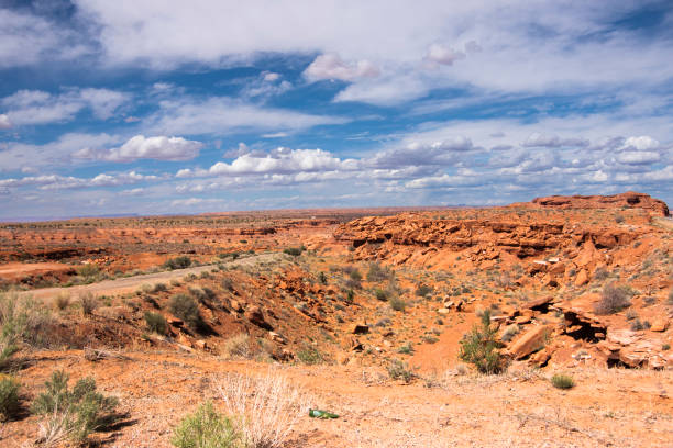 istock Navajo Tribal Park 2201790870