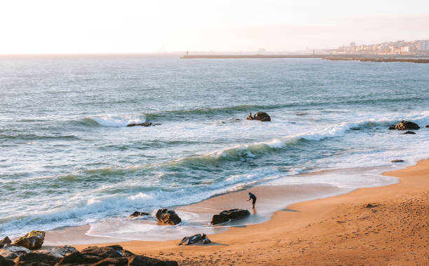 Man picking up shells on Cabedelo beach in Vila Nova de Gaia, Portugal