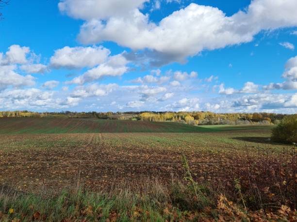 Endless expanses of fields harvested in autumn and blue cloudy sky.