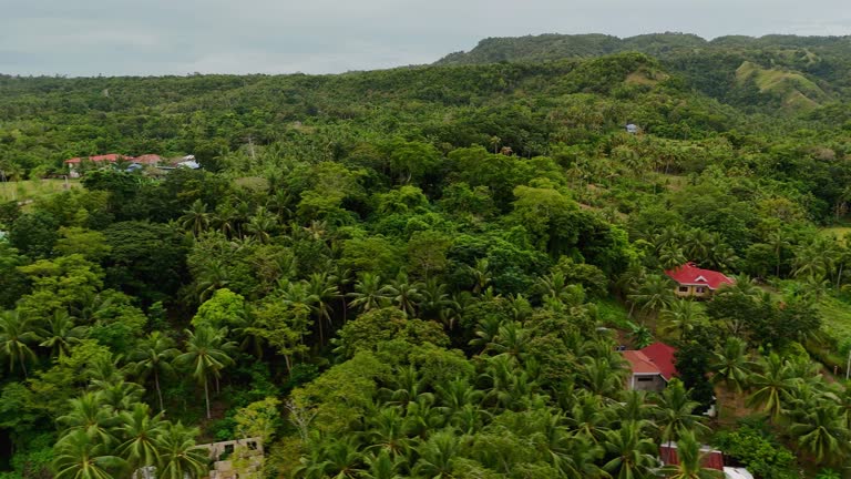 Aerial view drone flying over tropical lush jungle rainforest and small village houses and roads in Asia Philippines travel content