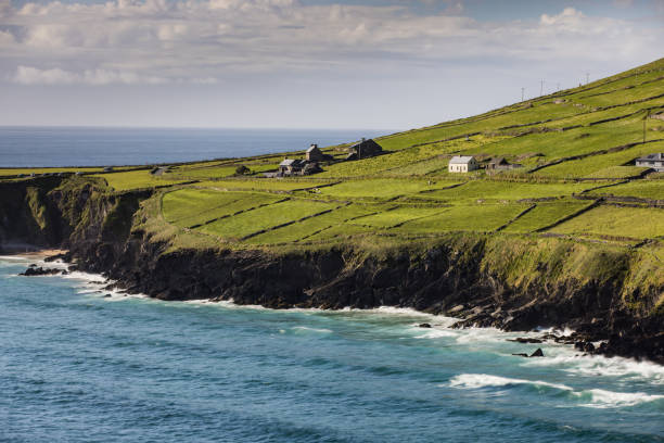 istock Green fields of Dingle Peninsula, Ireland 2201795288