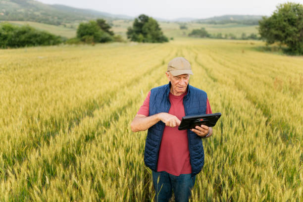 istock Senior male farmer using a digital tablet standing in a lush wheat field 2201798694
