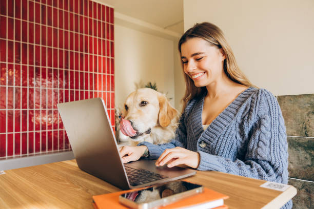 istock Woman working from home with her golden retriever dog 2201800101