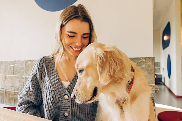 istock Smiling woman bonding with golden retriever in modern cafe 2201800113