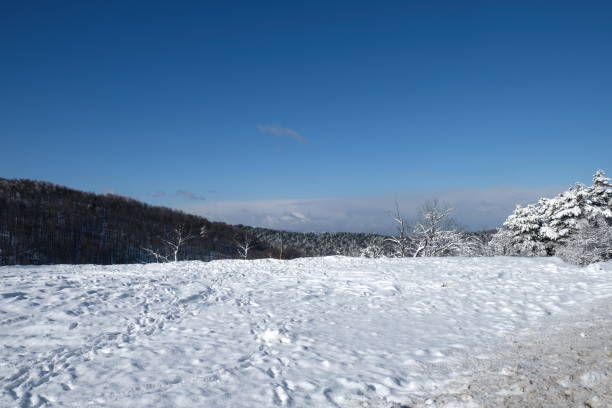 istock Snowy Landscape with Distant Mountains and Bare Trees Under a Cloudy Sky 2201800149