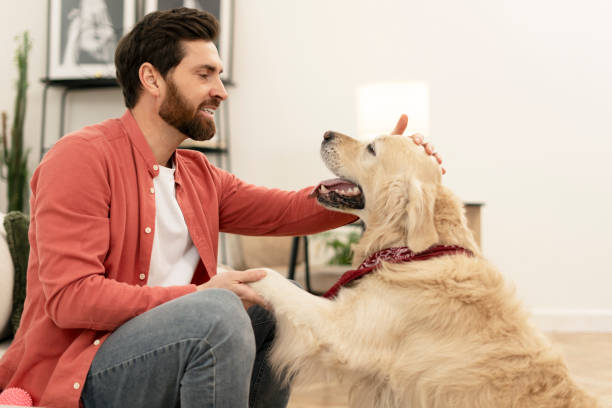 istock Man petting golden retriever dog at home 2201801774