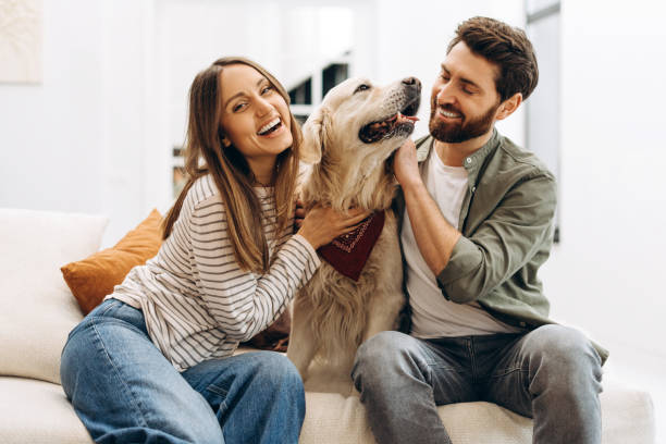 istock Happy couple bonding with golden retriever on sofa at home 2201802209