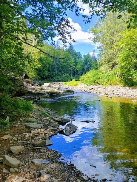 istock A Brook on a Wooded Trail 2201803758