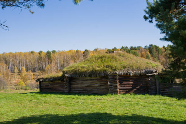 old house with green grass roof