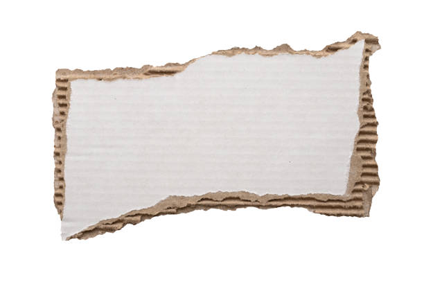 istock piece of white paper tear isolated on white background 2201804842